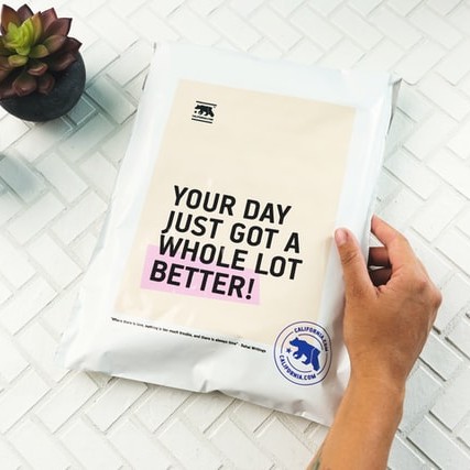 Who we service website image of a packaging ad of a hand holding a bag that reads your day just got a whole lot better. The hand is hovering over a white table with a criss cross pattern on it and two small plants to the top left.