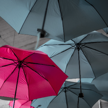 kore recruiters blog insights feature image grey umbrellas and one single hot pink umbrella